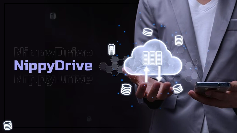 NippyDrive: Unmatched Innovation in Data Storage Solutions